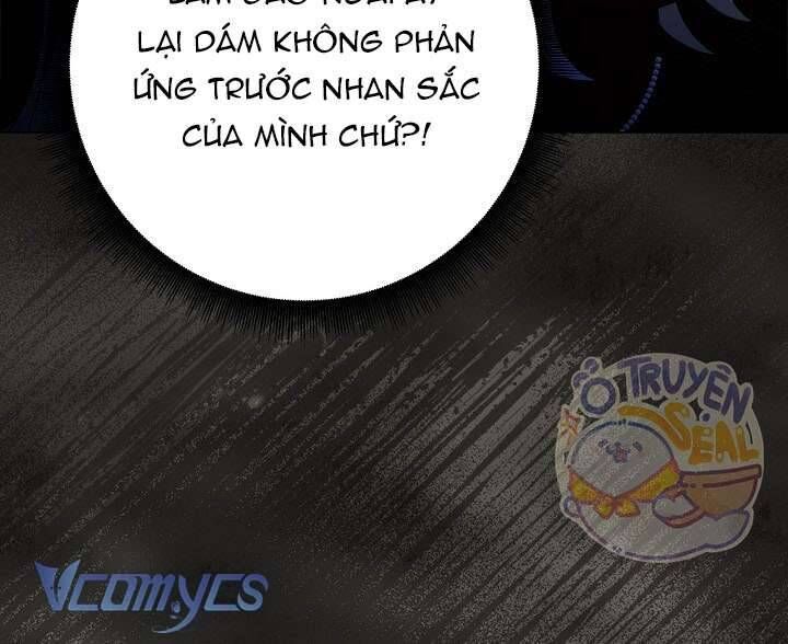 Xin Lỗi Vì Tôi Không Thể Rời Mắt Khỏi Vẻ Ngoài Của Ngài Chương 17 Ảnh 17