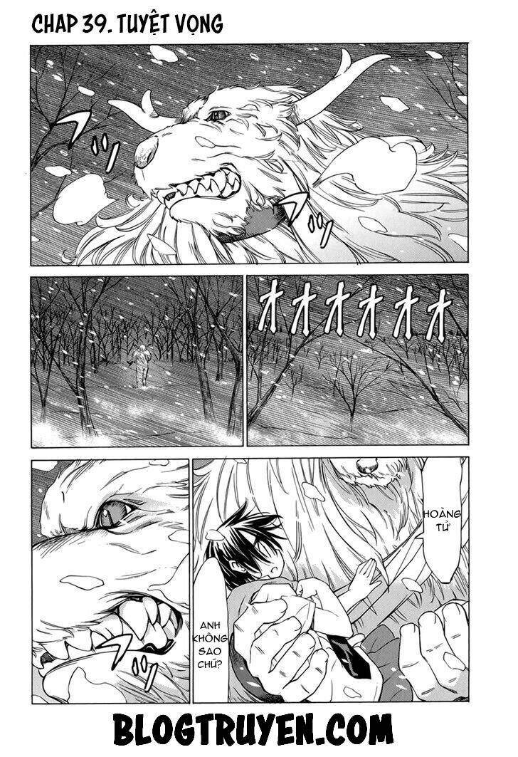 Sekainohate De Aimashou Chương 39 Ảnh 3