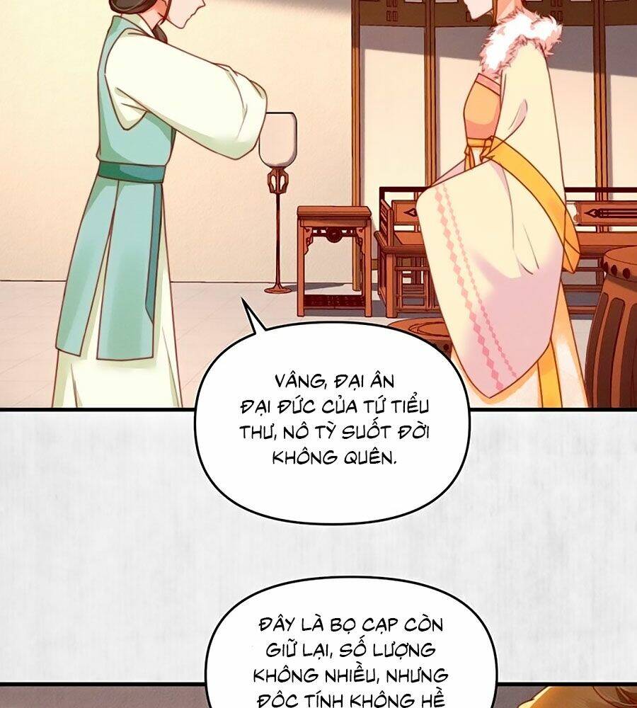 Hoạn Phi Hoàn Triều Chương 95 Ảnh 35
