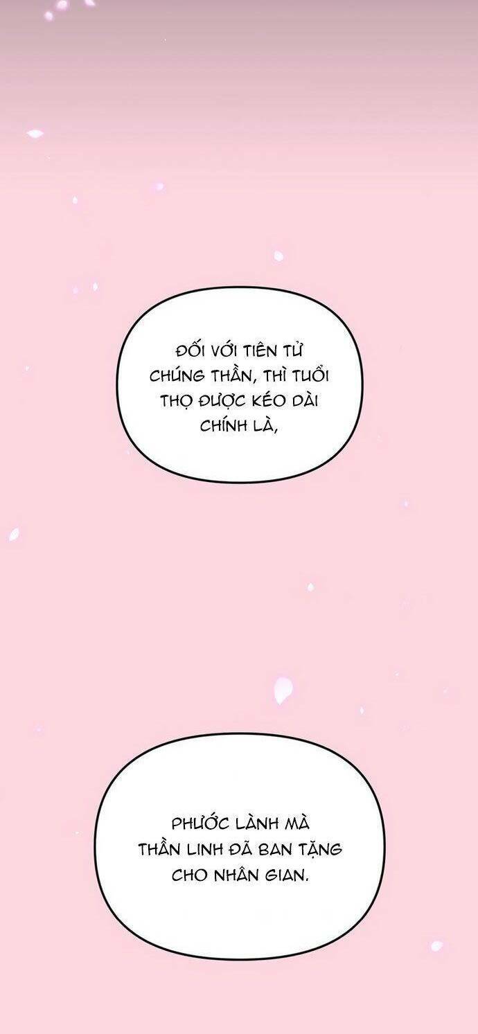 Vương Tử Huyền Bí Chương 101 Ảnh 28