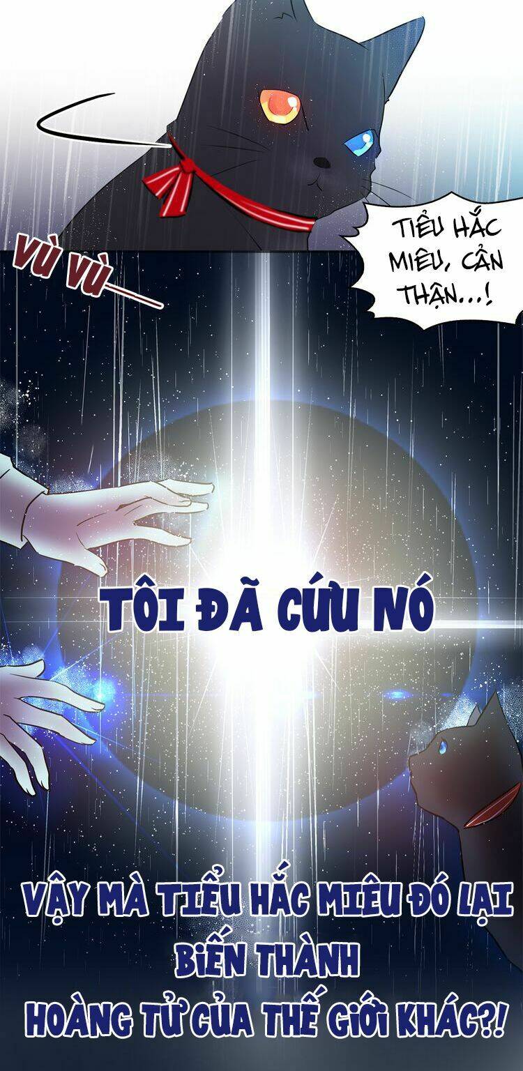 Miêu Vương Tử Đích Tân Nương Chương 0.5 Ảnh 6