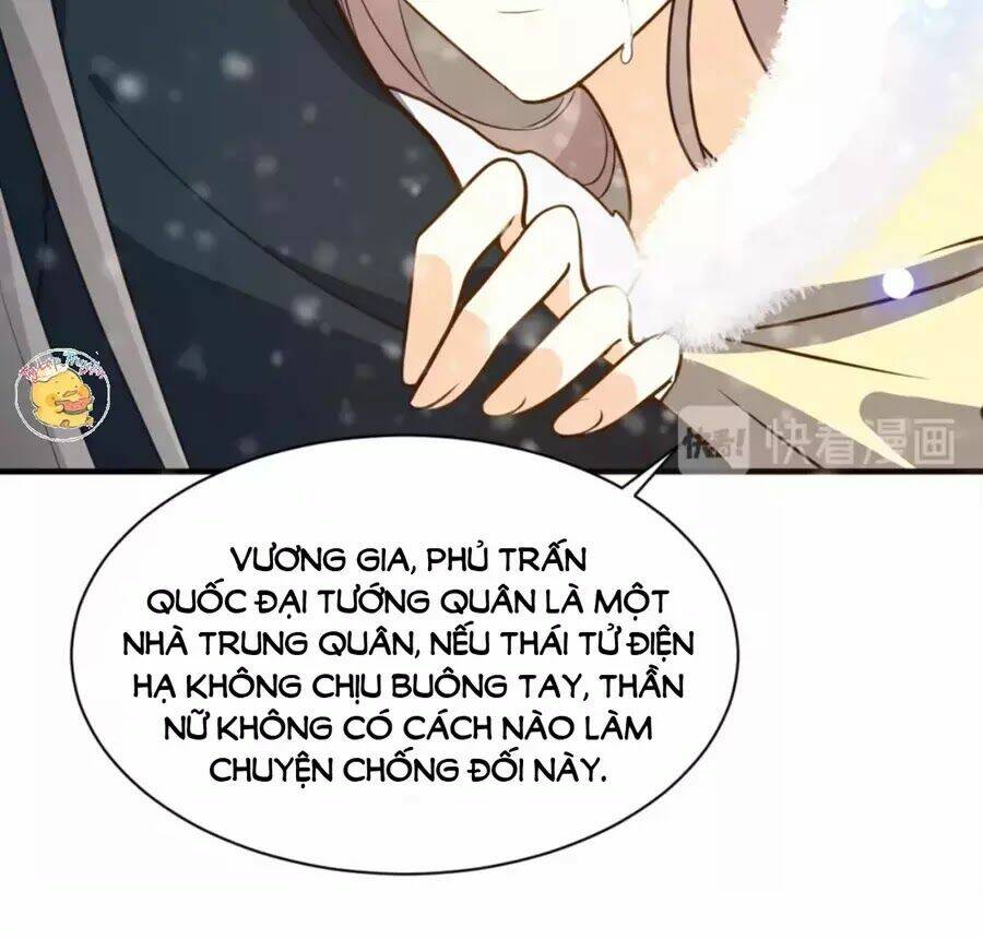Trùng Sinh Chuyên Sủng Độc Phi Của Nhiếp Chính Vương Chương 47 Ảnh 22