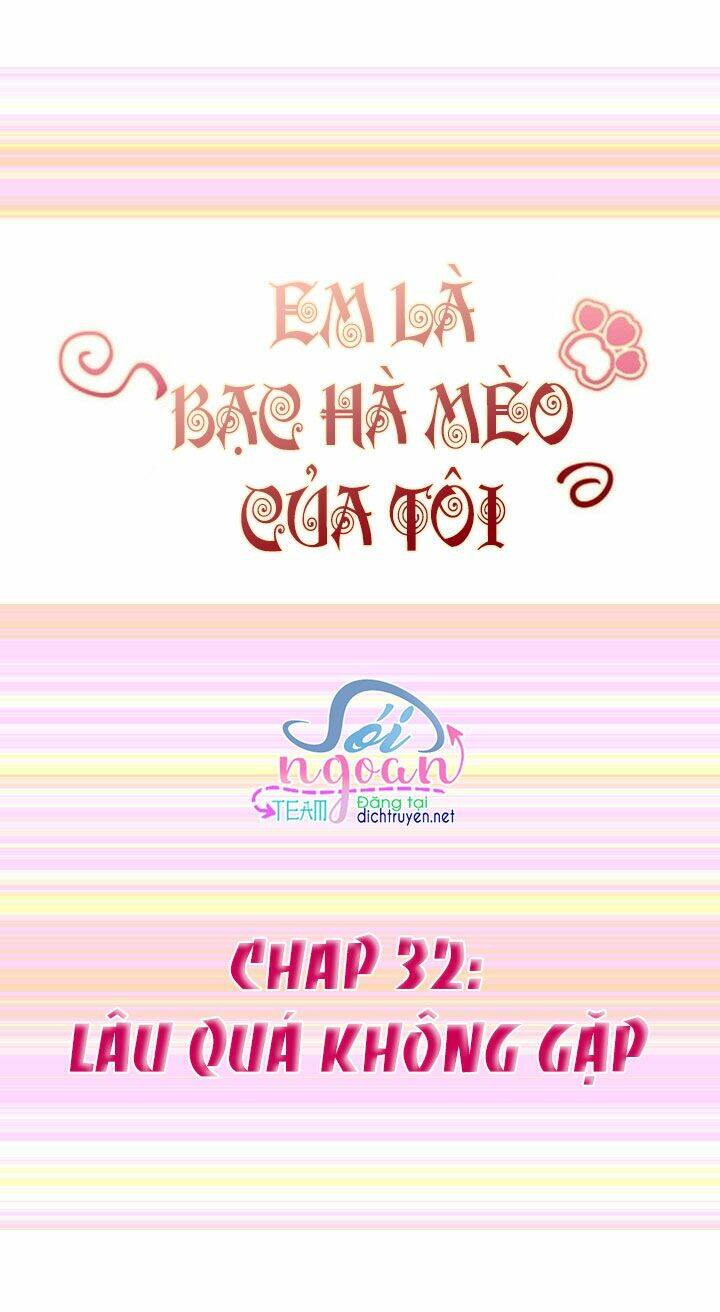 Em Là Bạc Hà Mèo Của Tôi Chương 32 Ảnh 2