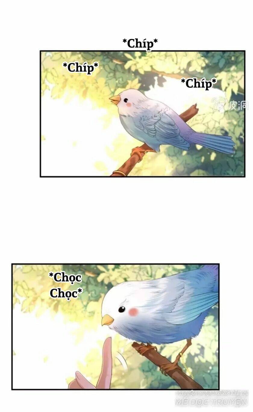 Theo Đuổi Hoàng Tử Quá Khó A~ Chương 96 Ảnh 7