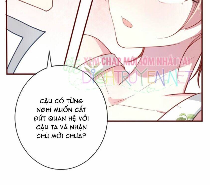 Em Là Bạc Hà Mèo Của Tôi Chương 36 Ảnh 16