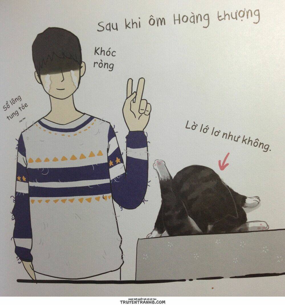 Cuộc Sống Thượng Lưu Của Hoàng Đế Mèo Chương 5 Ảnh 7