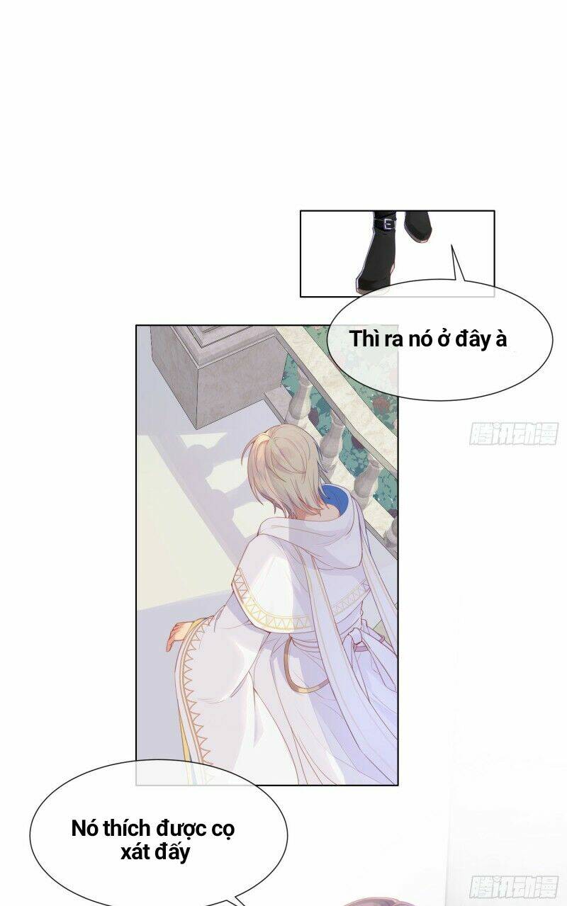 Công Lược Của Mami Chương 2 Ảnh 12