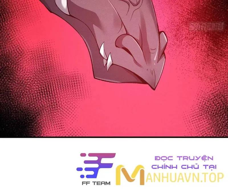 Luyện Khí 3000 Tầng: Mở Đầu Thu Nữ Đế Làm Đệ Chương 15 Ảnh 61