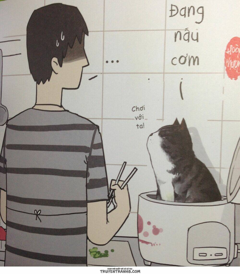Cuộc Sống Thượng Lưu Của Hoàng Đế Mèo Chương 5 Ảnh 13