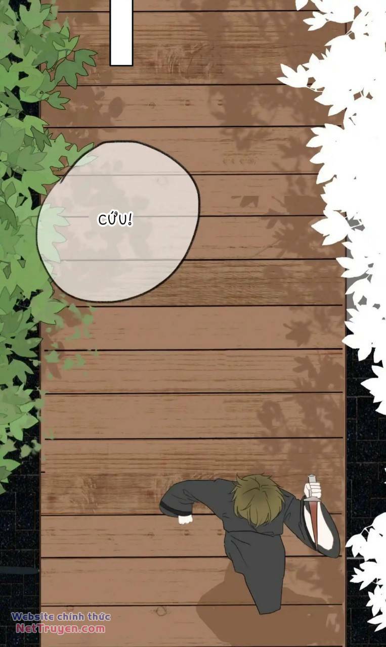 Ghi Chú Hoa Anh Đào Chương 5 Ảnh 5