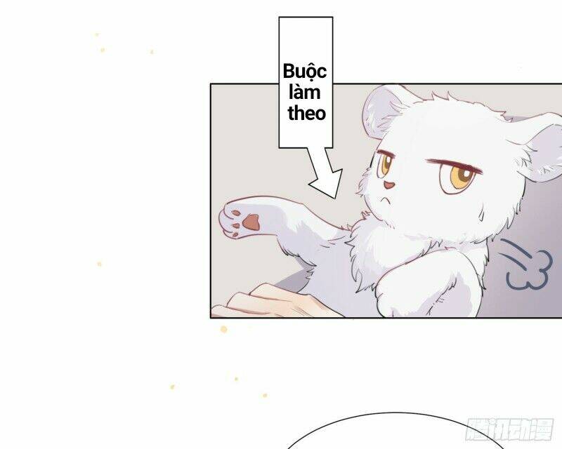 Công Lược Của Mami Chương 2 Ảnh 17