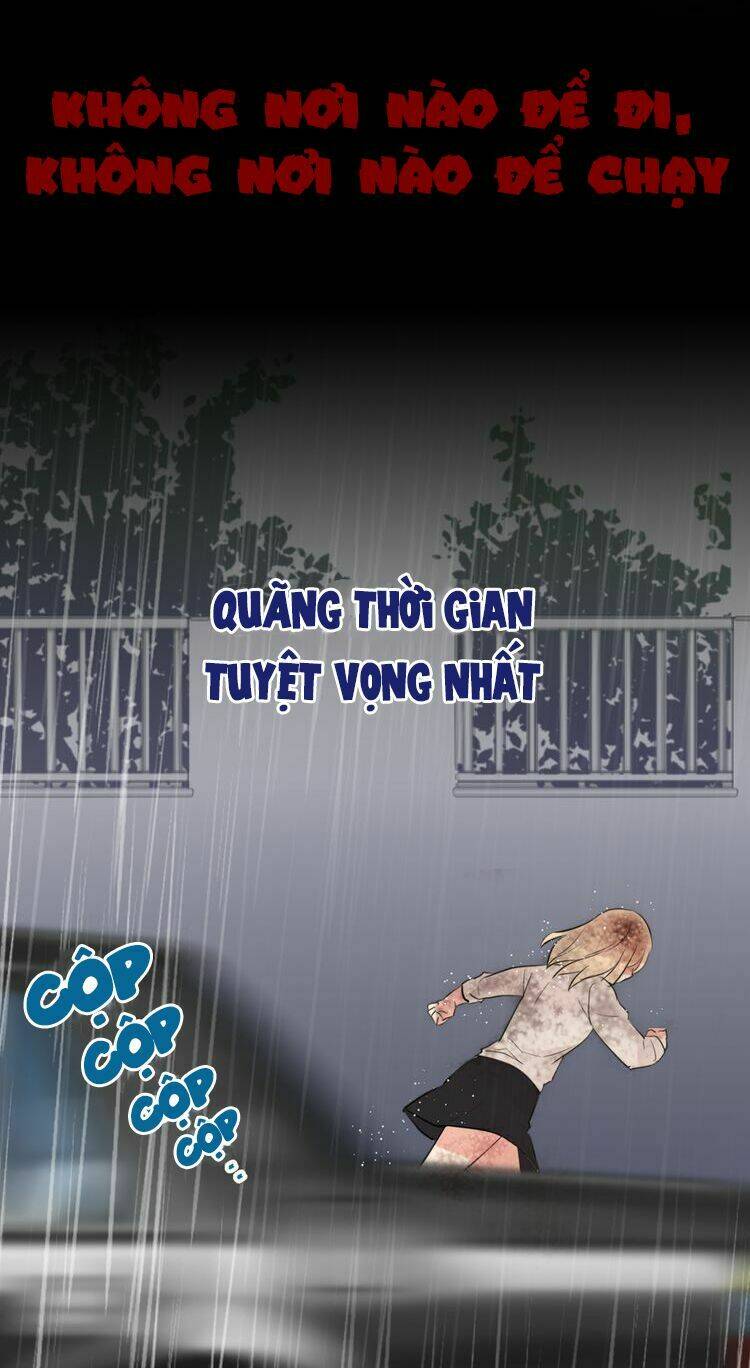Miêu Vương Tử Đích Tân Nương Chương 0.5 Ảnh 5