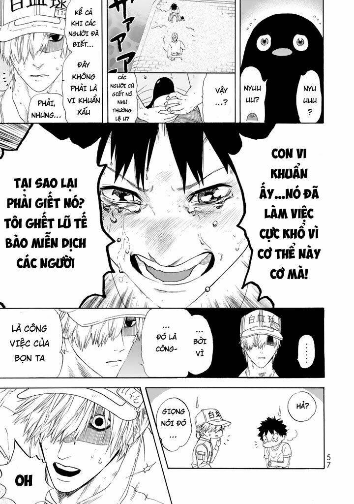 Hataraku Saibou ! Chương 21 Ảnh 14