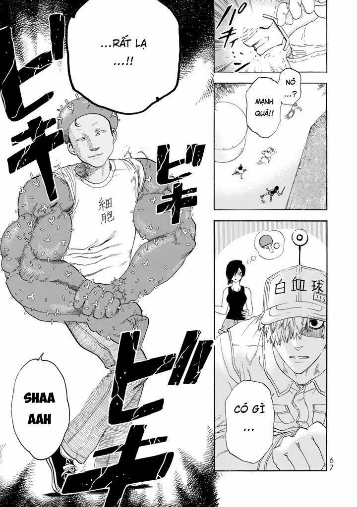 Hataraku Saibou ! Chương 21 Ảnh 24