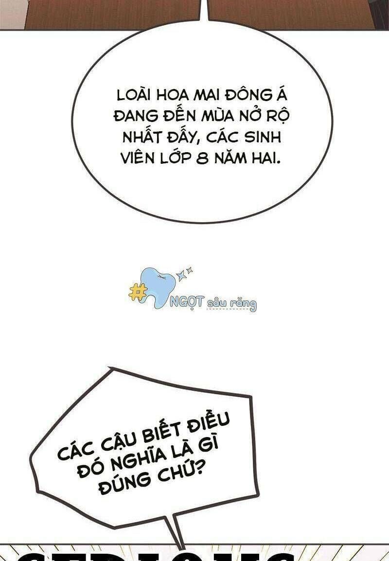 Giấc Mộng Đêm Hè Chương 7 Ảnh 40