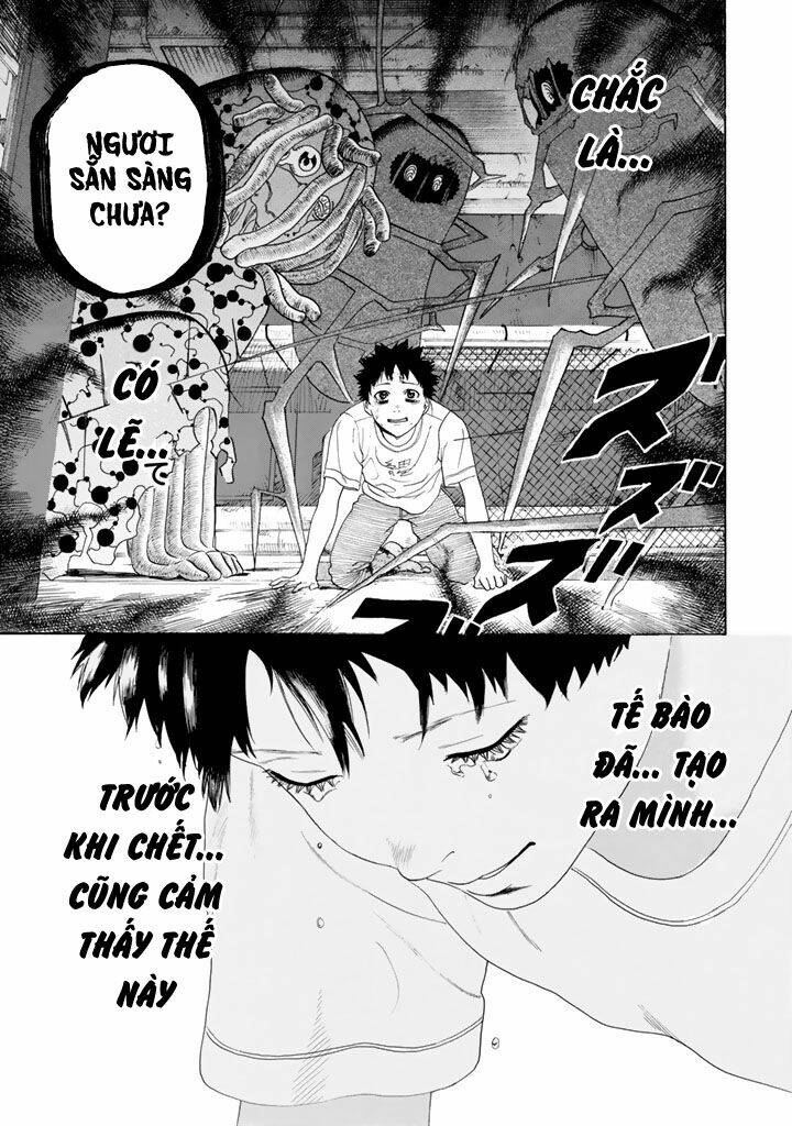 Hataraku Saibou ! Chương 24 Ảnh 24