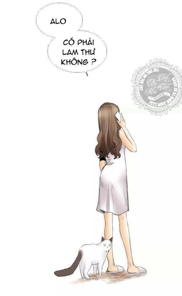 Quả Bóng Màu Vàng Chương 18 Ảnh 17