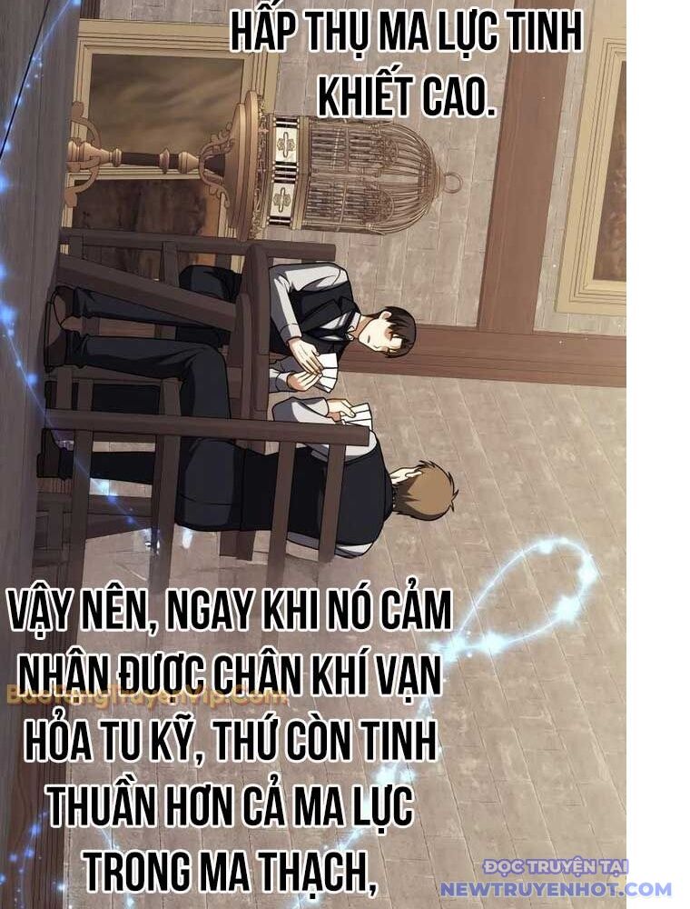 Sát Thủ Tái Sinh Thành Một Kiếm Sĩ Thiên Tài Chương 59 Ảnh 301