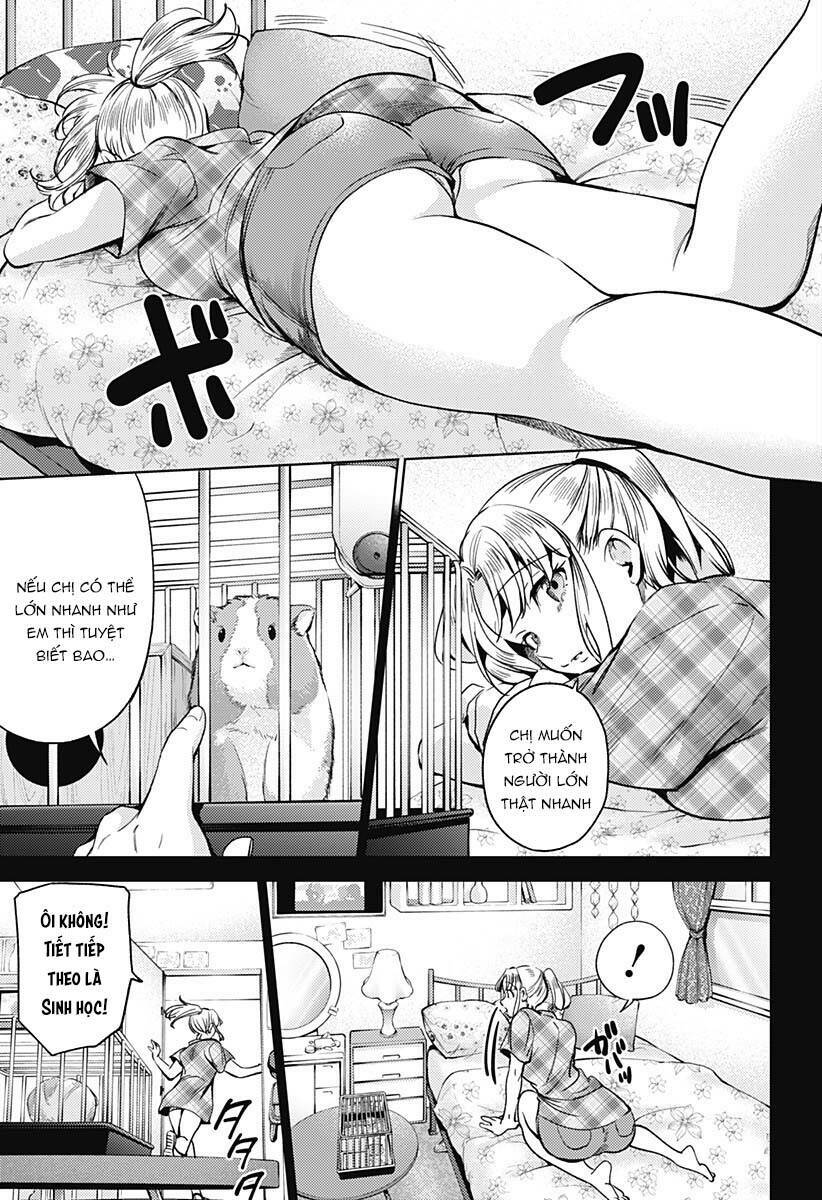 Dàn Harem Cuối Cùng Chương 117 Ảnh 15