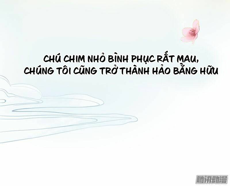 Tình Nhân Kiếp Trước Là Vĩ Hồ Chương 1 Ảnh 9
