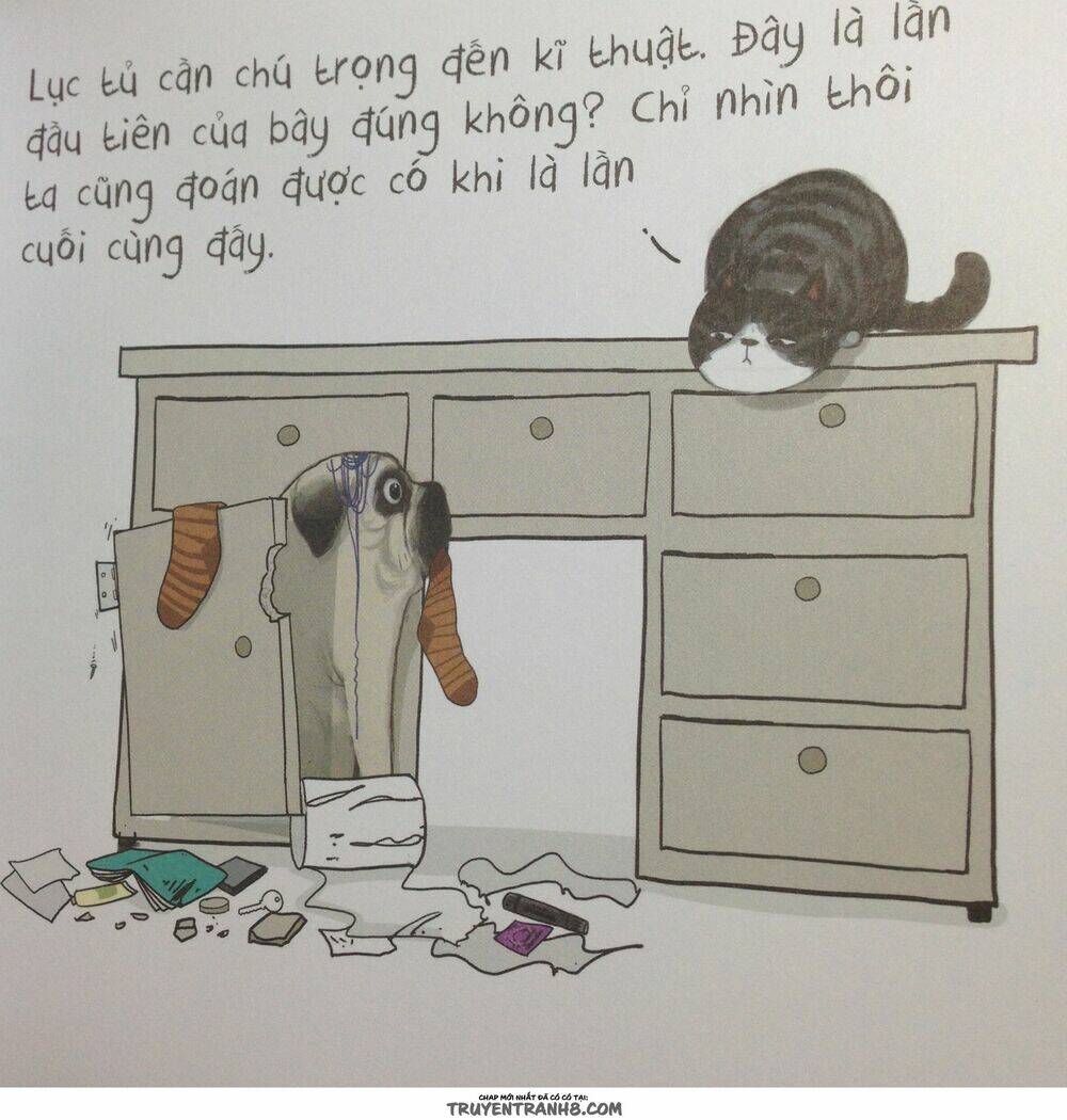 Cuộc Sống Thượng Lưu Của Hoàng Đế Mèo Chương 4 Ảnh 5