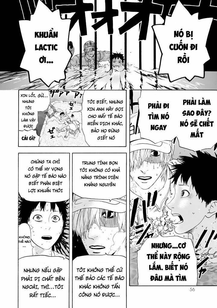 Hataraku Saibou ! Chương 21 Ảnh 13