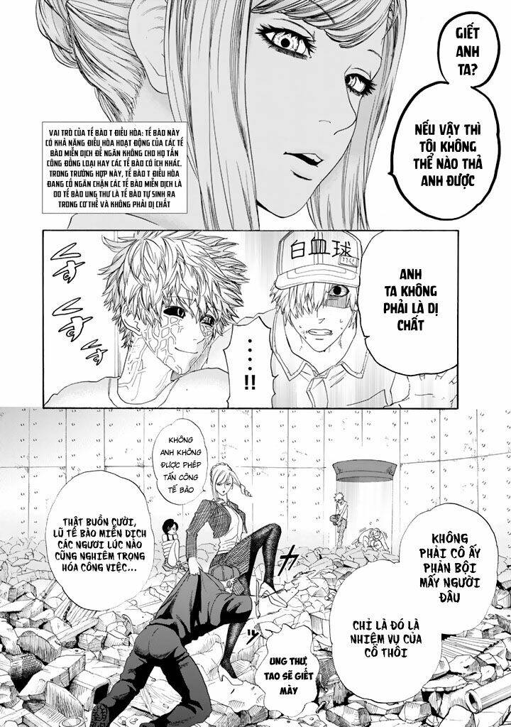 Hataraku Saibou ! Chương 24 Ảnh 27