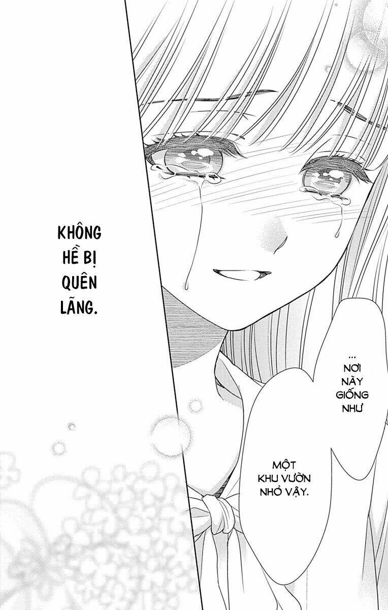 Nanoka No Kare Chương 84 Ảnh 45