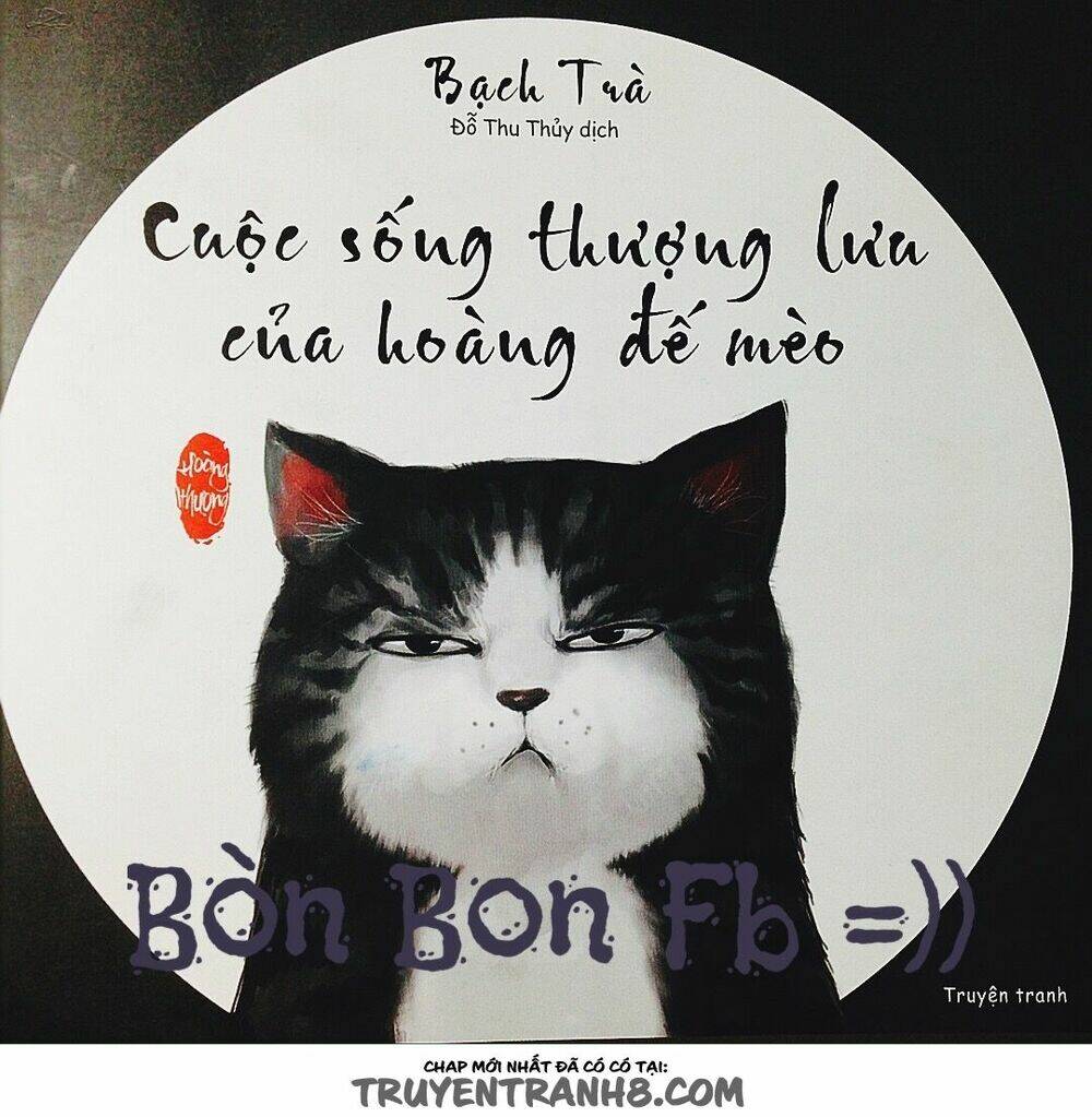 Cuộc Sống Thượng Lưu Của Hoàng Đế Mèo Chương 1 Ảnh 2