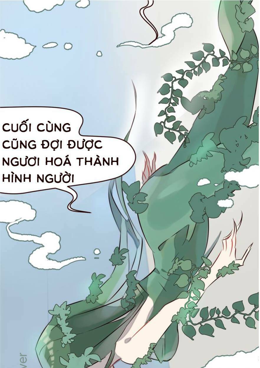 Bạn Trai Xương Rồng Chương 2 Ảnh 15