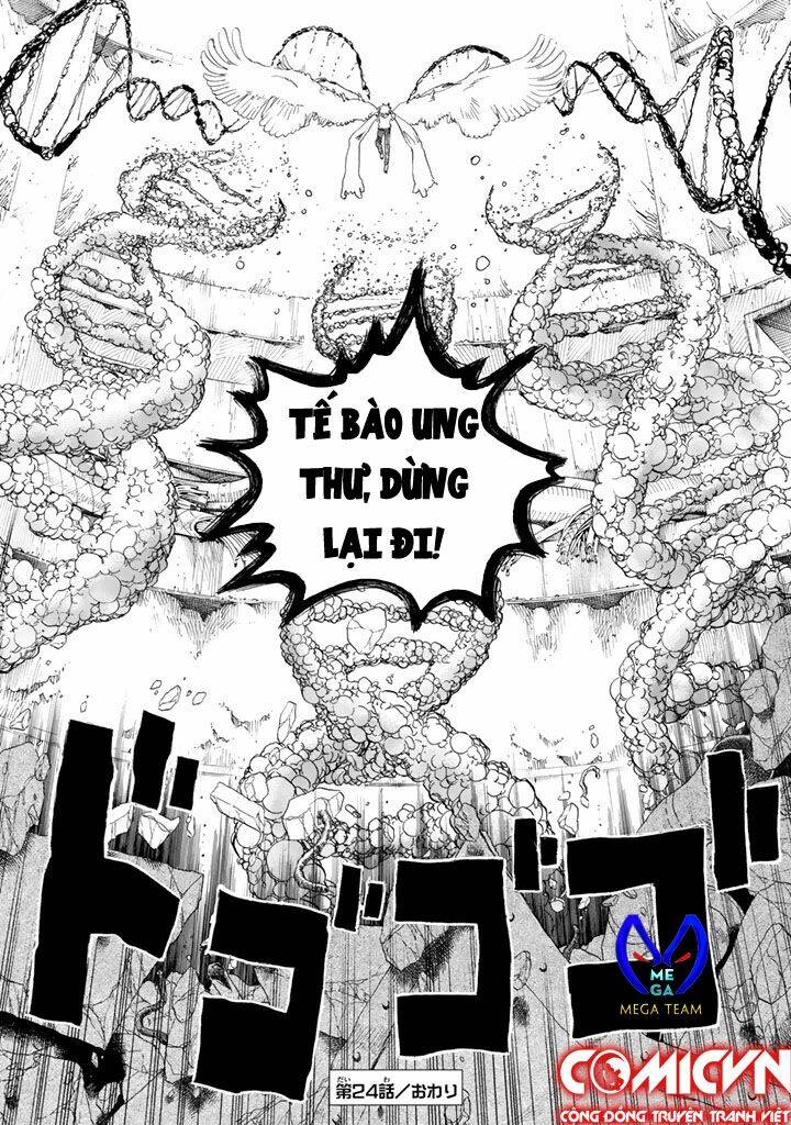 Hataraku Saibou ! Chương 24 Ảnh 34