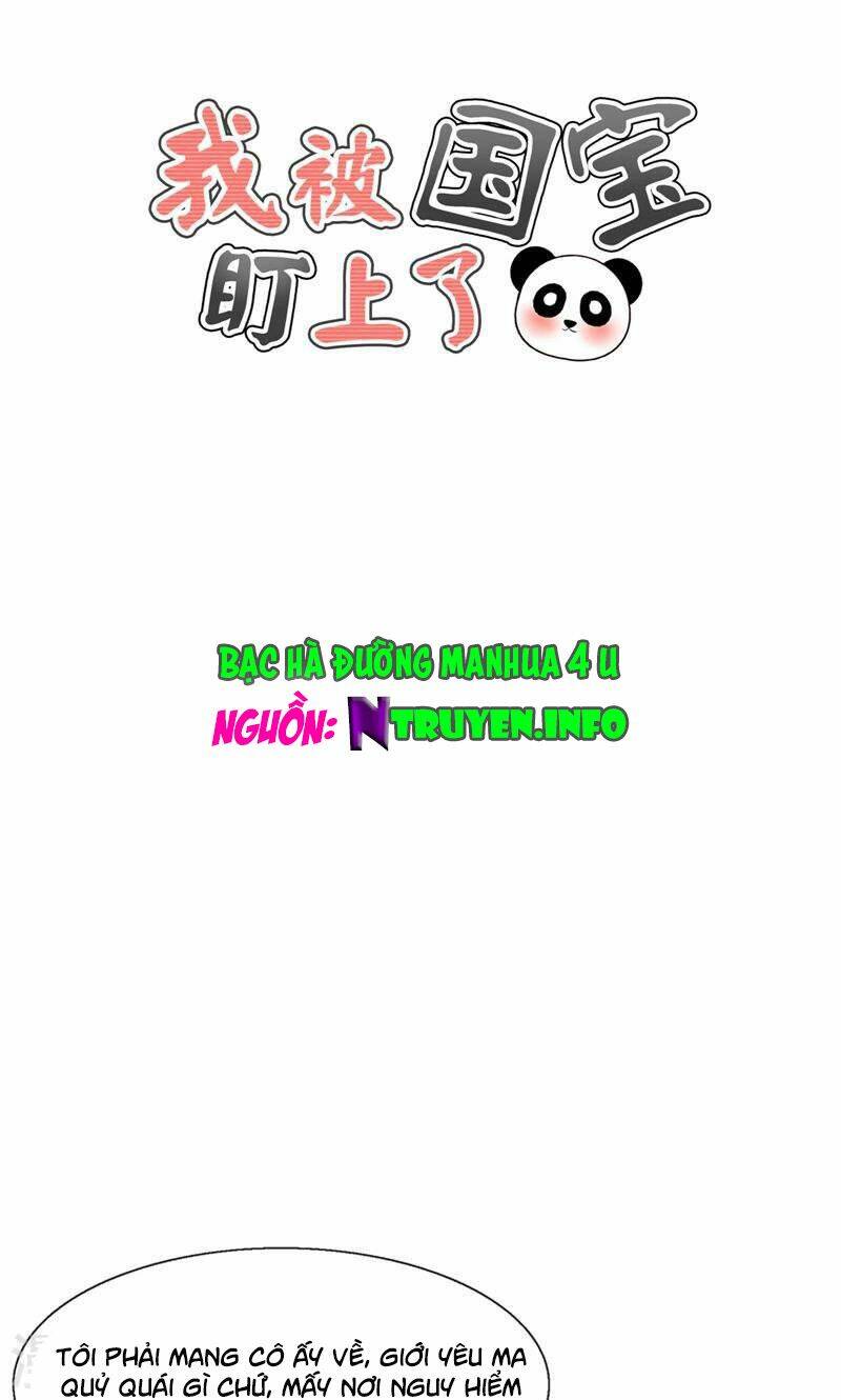 Tôi Bị Gấu Trúc Nhìn Trúng Rồi Chương 23 Ảnh 2