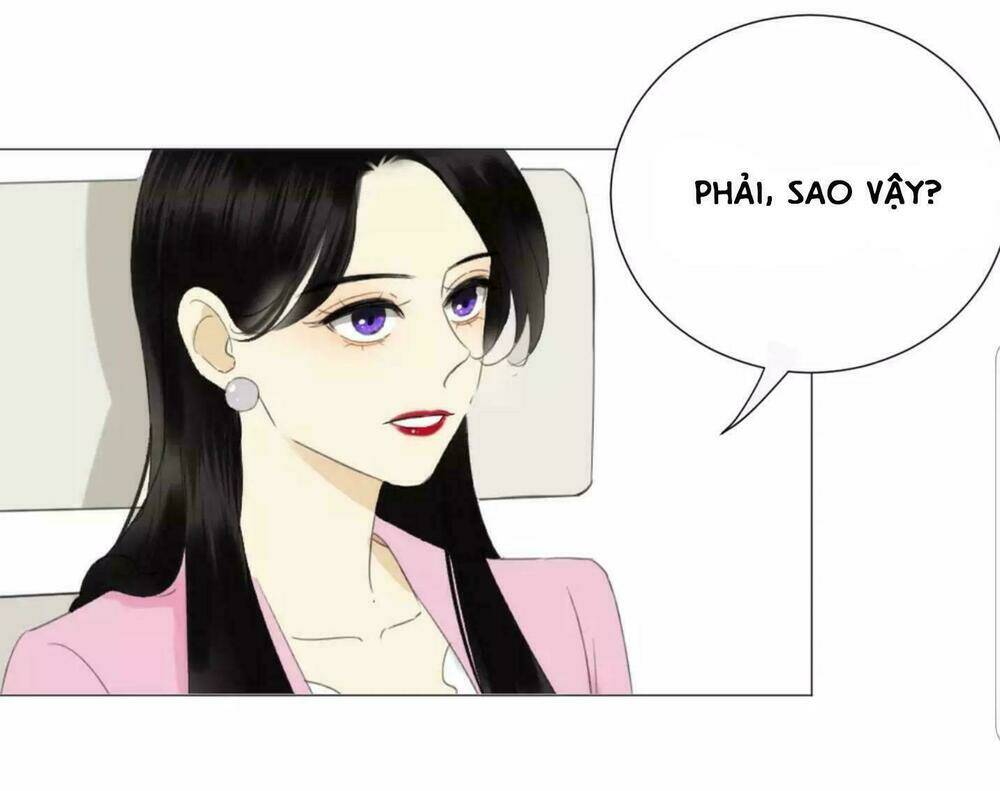 Tôi Gặp Em Lúc Bình Minh Chương 24 Ảnh 14