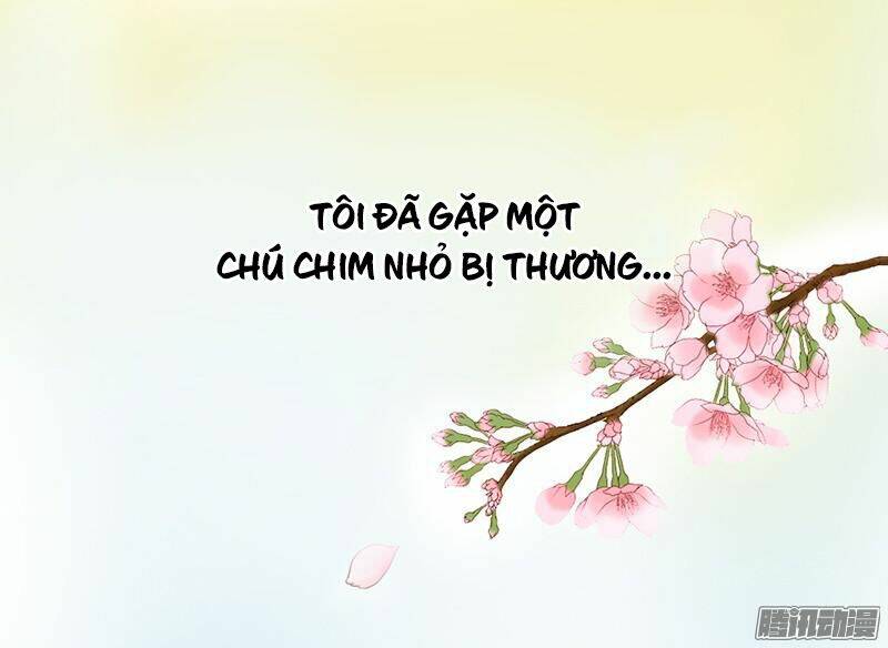 Tình Nhân Kiếp Trước Là Vĩ Hồ Chương 1 Ảnh 5