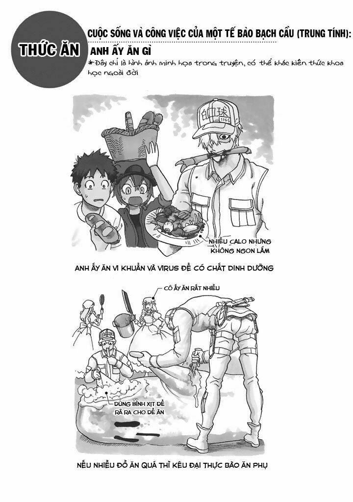 Hataraku Saibou ! Chương 21 Ảnh 30