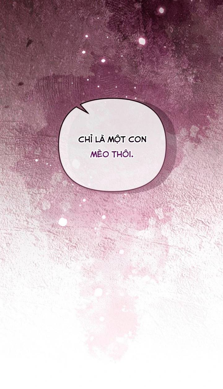 Không Có Nơi Nào Dành Cho Công Chúa Giả Mạo Chương 75 Ảnh 39