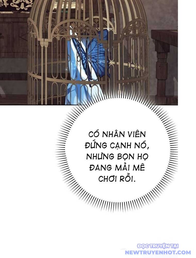 Sát Thủ Tái Sinh Thành Một Kiếm Sĩ Thiên Tài Chương 59 Ảnh 294