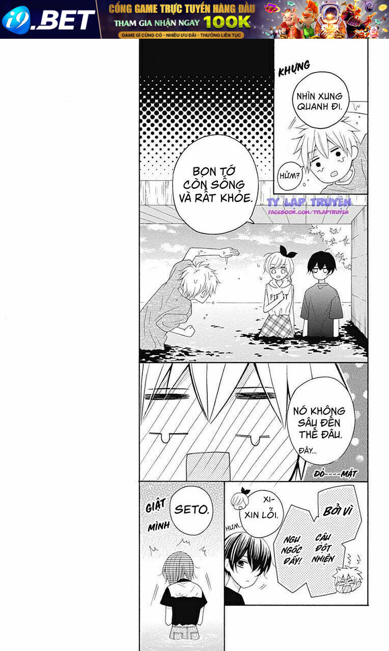 Hatsukoi To Taiyou Chương 10 Ảnh 16