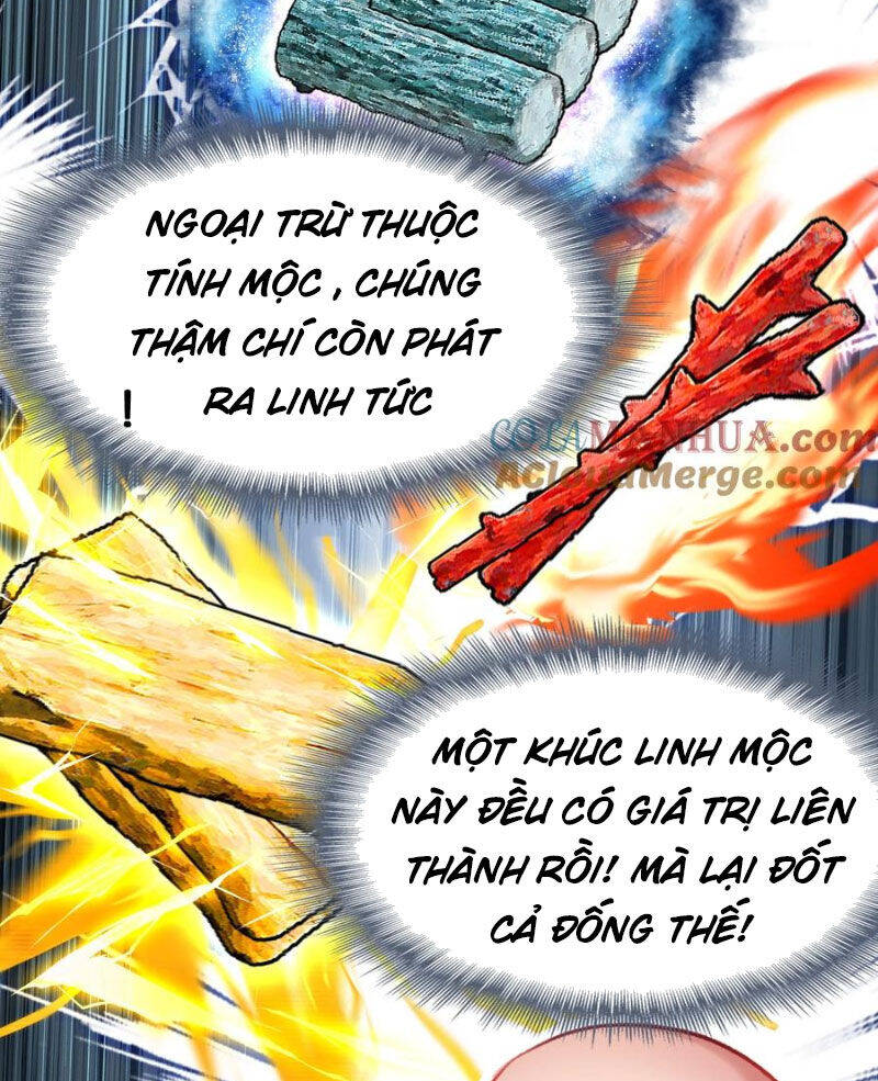 Ta Đây Chính Là Tuyệt Thế Cao Thủ Chương 65 Ảnh 91