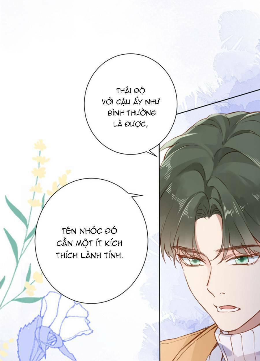 Tâm Động Thuấn Di Chương 66 Ảnh 21