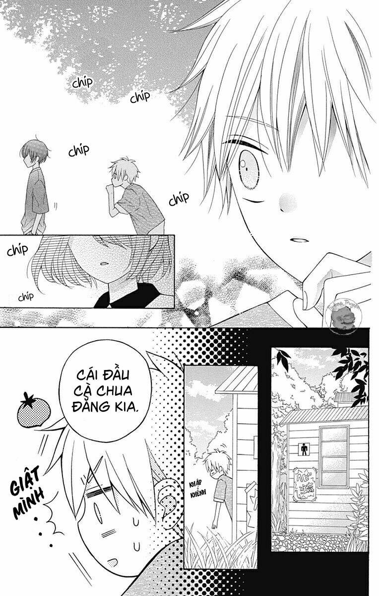 Hatsukoi To Taiyou Chương 9 Ảnh 26