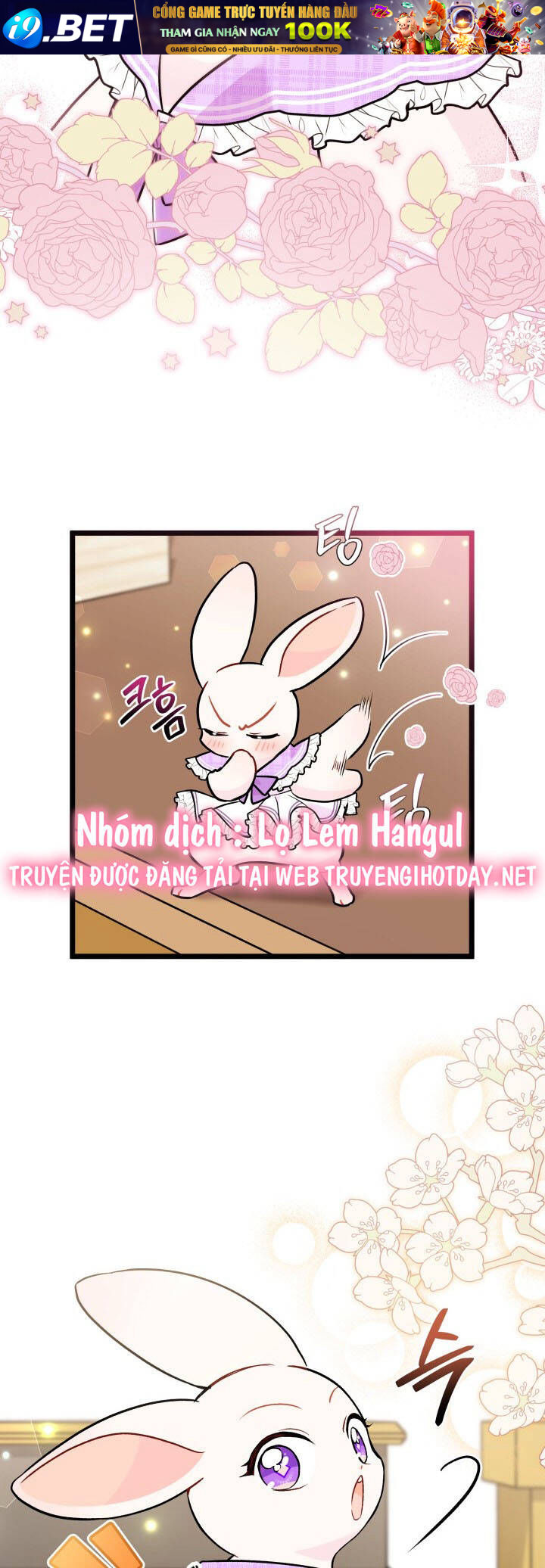 Mối Liên Kết Giữa Báo Đen Và Bé Thỏ Chương 135 Ảnh 38