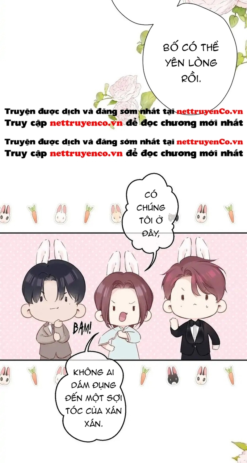 Bảo Vệ Siêu Sao Của Tôi Chương 141 Ảnh 21