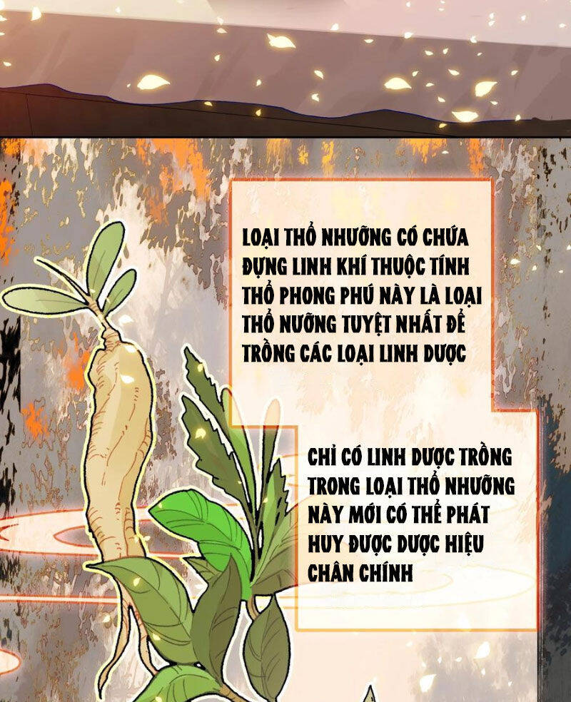 Ta Đây Chính Là Tuyệt Thế Cao Thủ Chương 65 Ảnh 72