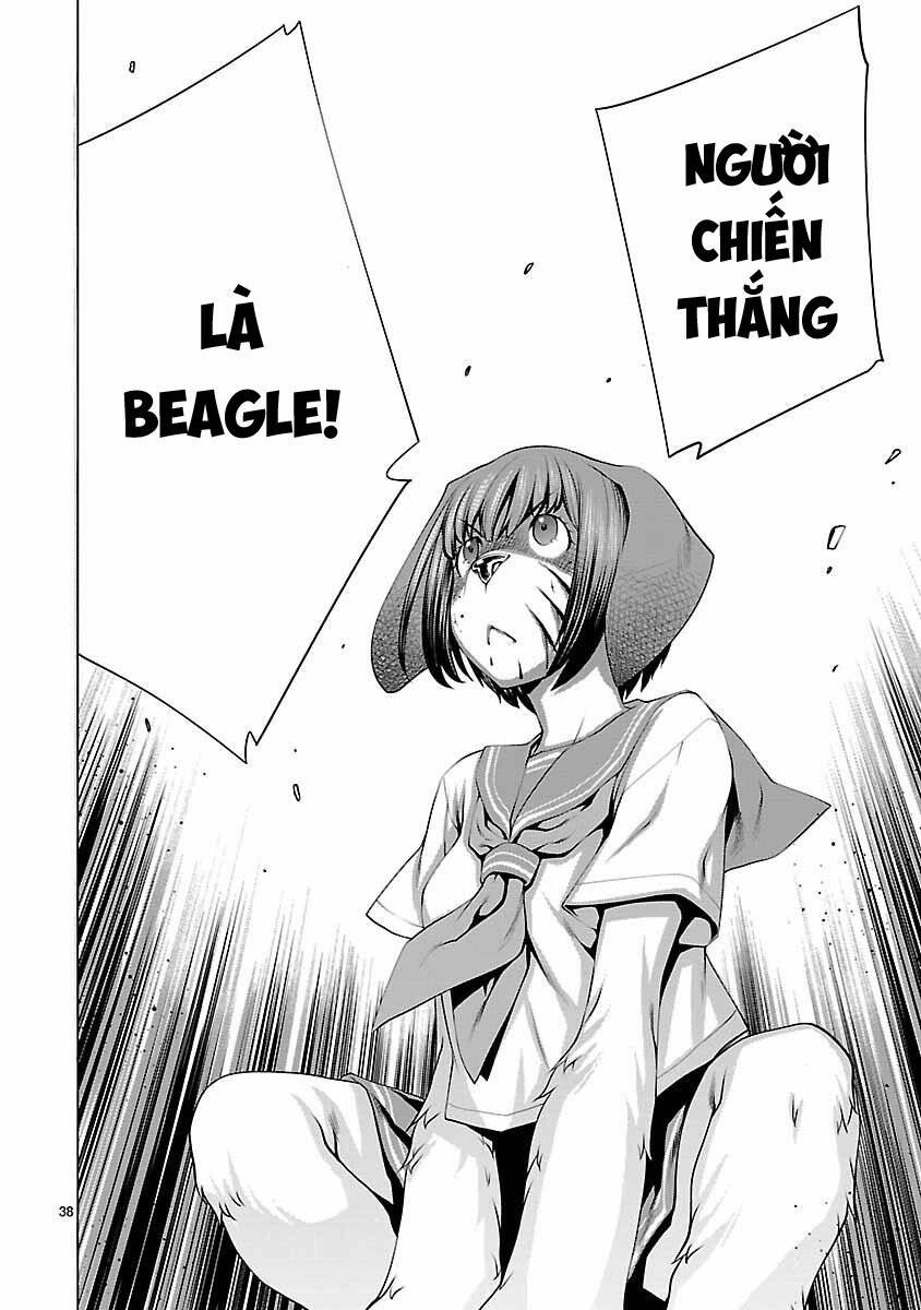 Killing Bites Chương 38 Ảnh 42