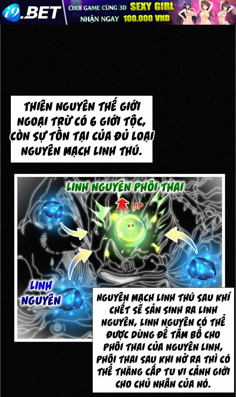 Nguyên Linh Chúa Tể Chương 8 Ảnh 26