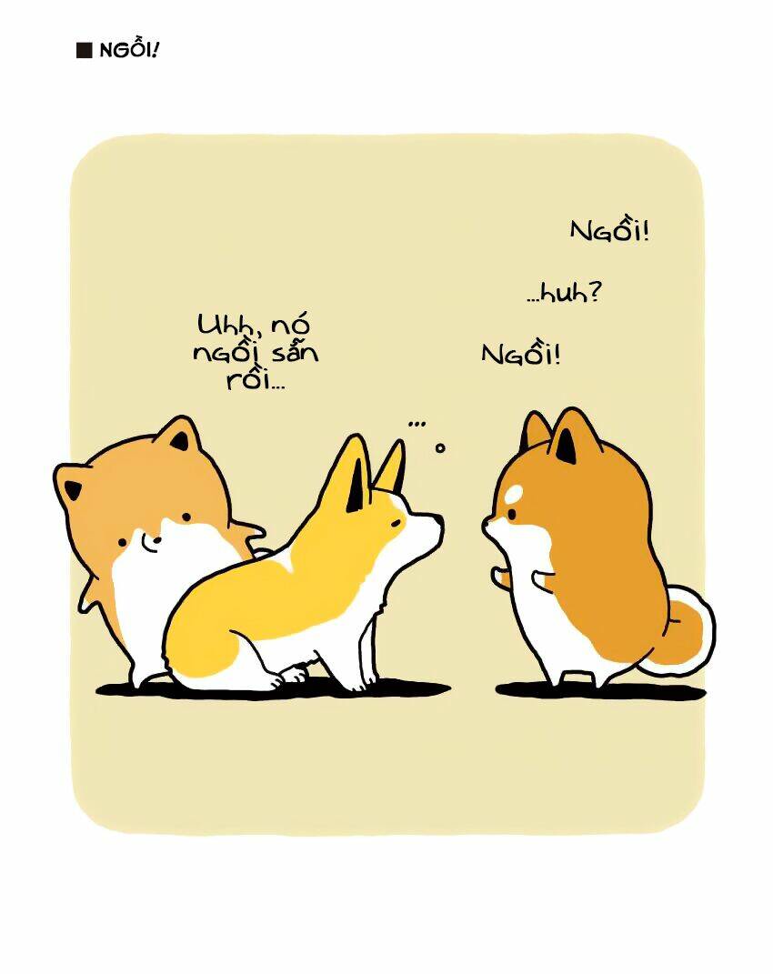 Taru Shiba Chương 7 Ảnh 15