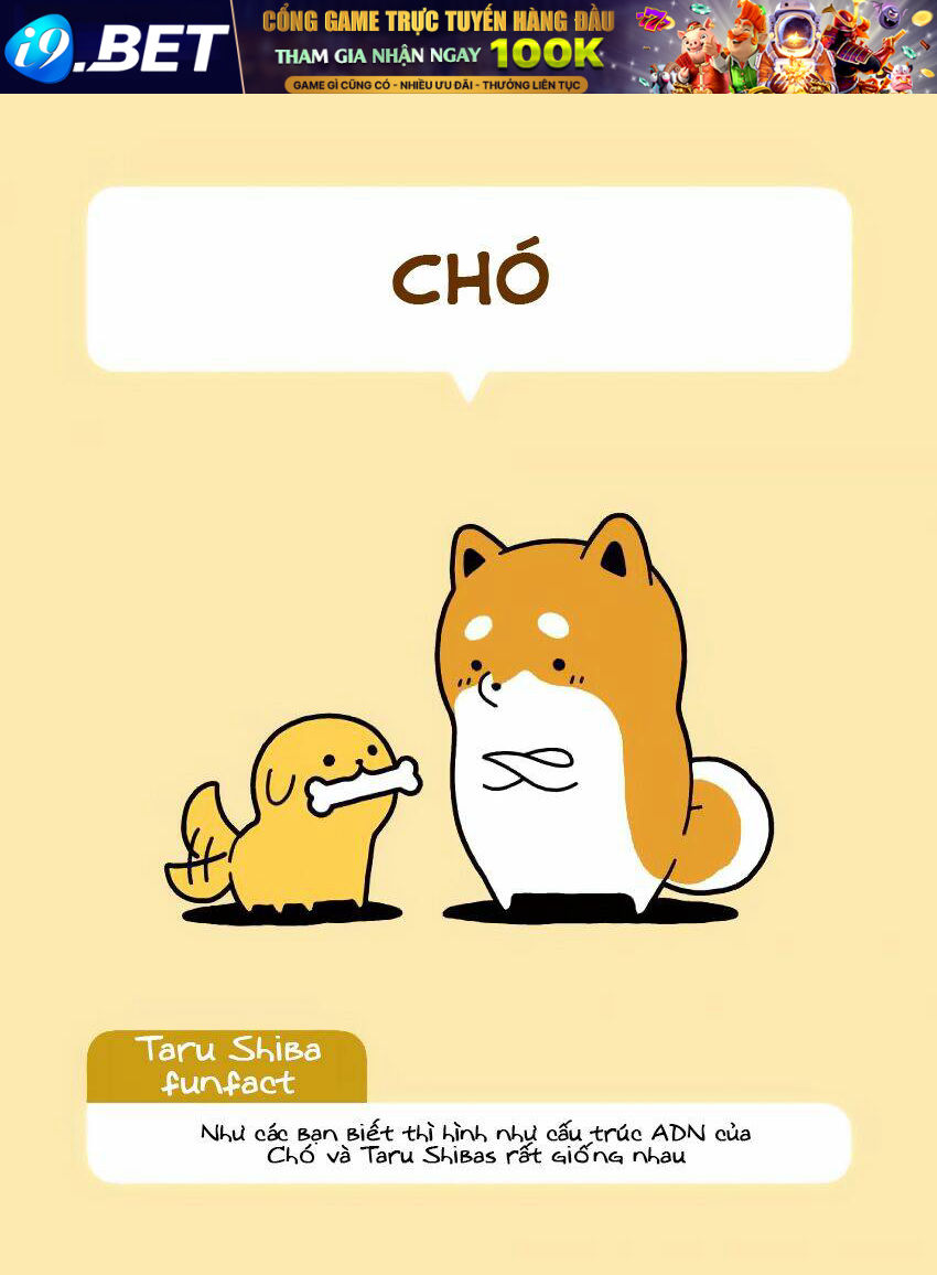 Taru Shiba Chương 7 Ảnh 5