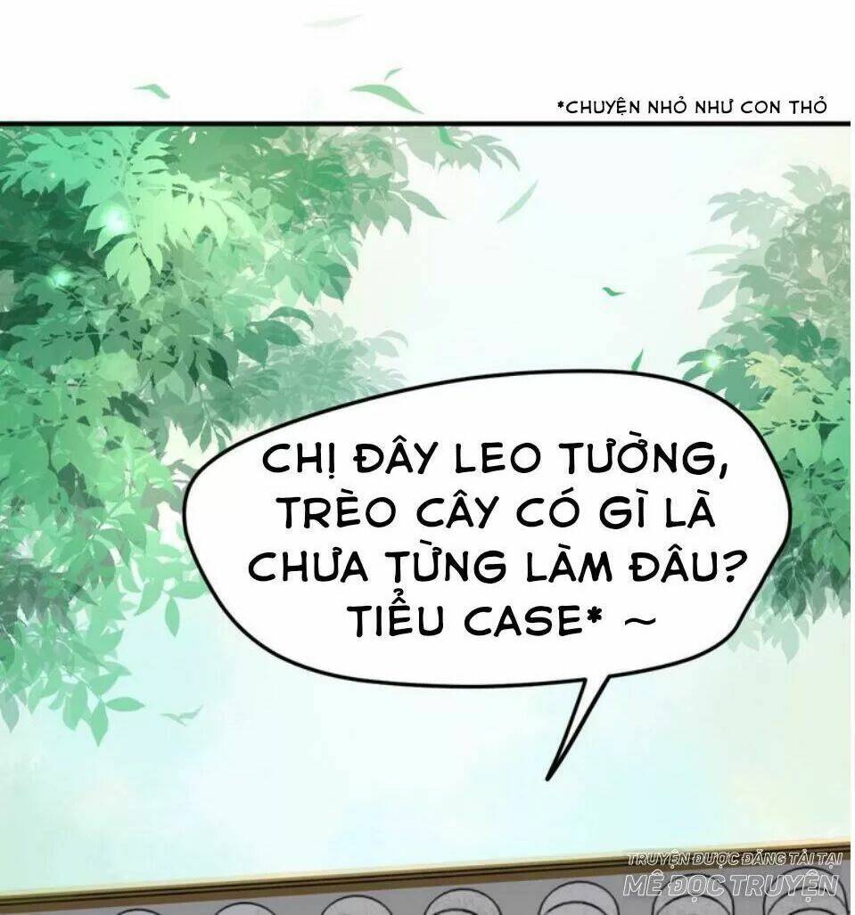 Luôn Có Điêu Dân To Gan Muốn Hại Trẫm Chương 14 Ảnh 43