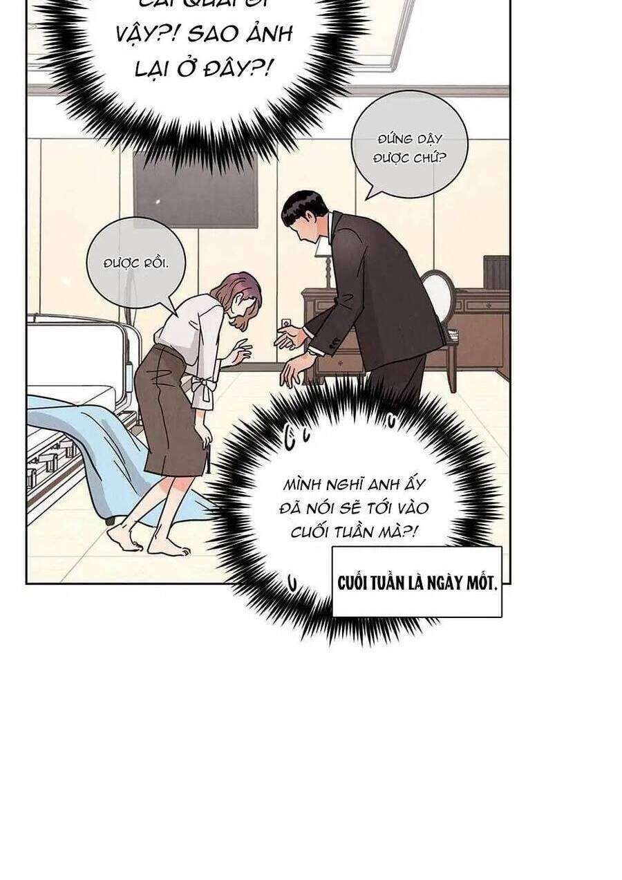 Chào Nhé, Không Làm Thông Gia Nữa Đâu! Chương 66 Ảnh 93